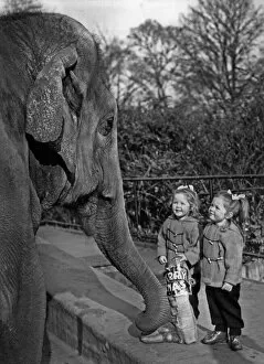 Twin Sisters, Jennifer and Christine Wells, at London Zoo, 10th December 1956 (b / w photo)