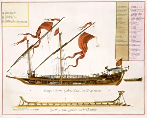 Types of shipping: a double-masted galley: section through Types of shipping: a double-masted galley: section through