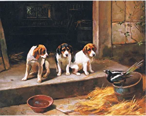 The uninvited guest, from from magazine or book source unknown (colour litho) The uninvited guest, from from magazine or book source unknown (colour litho)