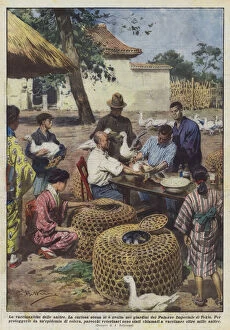 The vaccination of ducks (colour litho)
