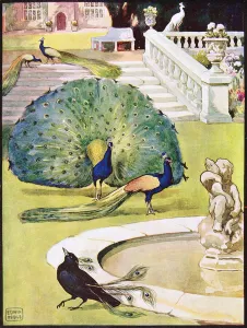 The Vain Jackdaw from Aesop's Fables, pub. by Raphael Tuck & Sons Ltd. London (book illustration) The Vain Jackdaw from Aesop's Fables, pub. by Raphael Tuck & Sons Ltd. London (book illustration)