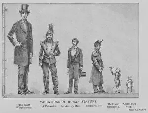 Variations Gallery: Variations of Human Stature (engraving)