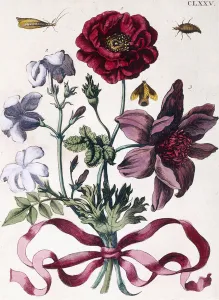 Various European insects and flowers (plate CLXXV), 1730 (hand-coloured engraving) Various European insects and flowers (plate CLXXV), 1730 (hand-coloured engraving)