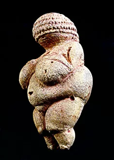 Belly Collection: Venus of Willendorf