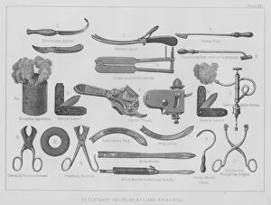 Veterinary instruments and apparatus (litho)