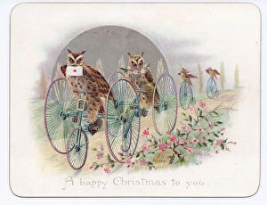 Noel Gallery: Victorian Christmas card of four owls on penny farthing bicycles, c.1880 (colour litho)
