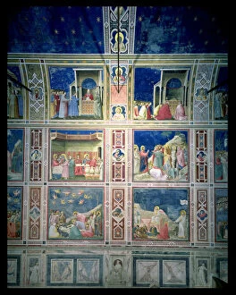 View of the frescoes on the left wall, c.1303-05 (fresco) (post-restoration)