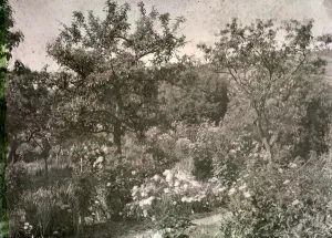View of Giverny, Monet's Garden, early 1920s (photo) View of Giverny, Monet's Garden, early 1920s (photo)