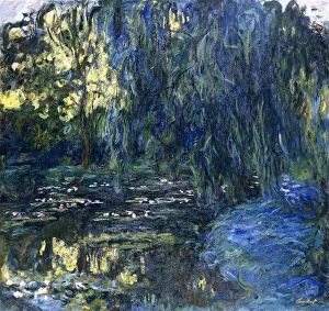 View of the Lilypond with Willow, c.1917-1919 (oil on canvas)