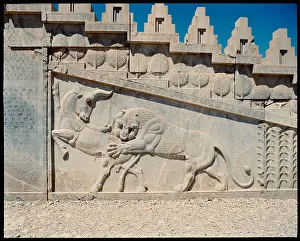 View of the relief of the eastern stairs, a lion attacks a bull View of the relief of the eastern stairs, a lion attacks a bull