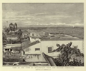 View of the Town of Mocambique from the British Consulate (engraving) View of the Town of Mocambique from the British Consulate (engraving)