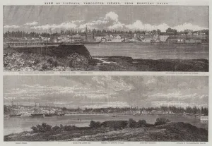 View of Victoria, Vancouver Island, from Hospital Point (engraving) View of Victoria, Vancouver Island, from Hospital Point (engraving)