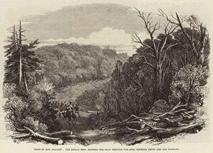 Views in New Zealand, the Devil's Nest, showing the Road through the Bush between Drury and the Waikato (engraving)