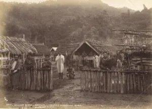 Village Scene - Koroniti (Corinth) Wanganui River, 7th May 1885 (albumen print) Village Scene - Koroniti (Corinth) Wanganui River, 7th May 1885 (albumen print)