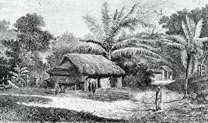 Poeple Gallery: Village in valley of Colombo, Sri Lanka (engraving)