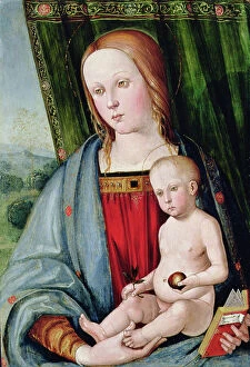 Madonna & Child Gallery: Virgin and Child, after 1494 (tempera with oil glazes on panel)