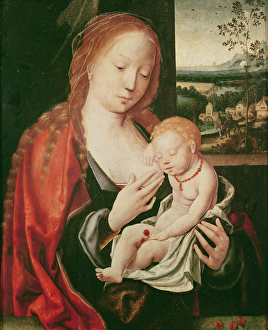 Virgin and sleeping Child (oil on panel) Virgin and sleeping Child (oil on panel)