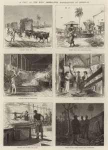 A Visit to the West Indies, the Manufacture of Sugar, II (engraving) A Visit to the West Indies, the Manufacture of Sugar, II (engraving)