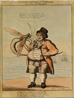 Political Cartoon Gallery: A wasp taking a frolick, 1813 (hand-coloured etching)