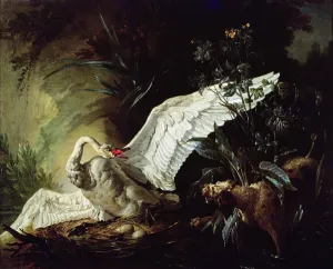 A Water Spaniel Attacking a Swan on its Nest, 1740 (oil on canvas) A Water Spaniel Attacking a Swan on its Nest, 1740 (oil on canvas)