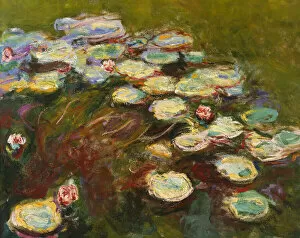 Waterlilies, 1914-17 (detail of 82359) (oil on canvas)