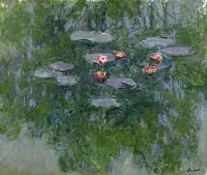 Waterlilies, 1916-19 (oil on canvas)