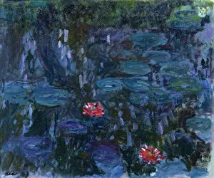 Waterlilies with Reflections of a Willow Tree, 1916-19 (oil on canvas)