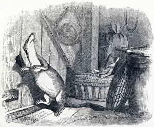 The weasel enters an attic (La belette entree dans un grenier) - Fables by La Fontaine