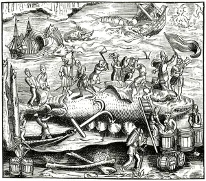 Whale-fishing, after a woodcut in Cosmographie Universelle of Munster Whale-fishing, after a woodcut in Cosmographie Universelle of Munster