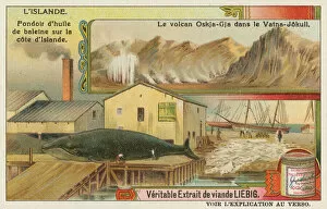 Vatnajokull Gallery: Whale oil factory and a volcano in the Vatna glacier (chromolitho)