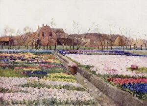 'When Spring unlocks the flowers to paint the laughing soil' (colour litho)