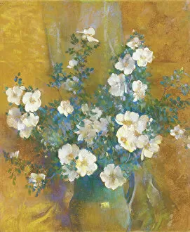 Wild Roses Gallery: White Roses (pastel on board)
