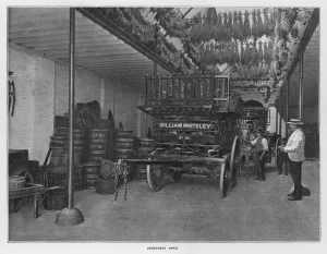 Whiteley's Farms: Vegetable shed (b/w photo) Whiteley's Farms: Vegetable shed (b/w photo)