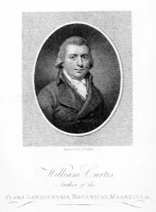 William Curtis, engraved by F. Sansom, 1790 (engraving) William Curtis, engraved by F. Sansom, 1790 (engraving)