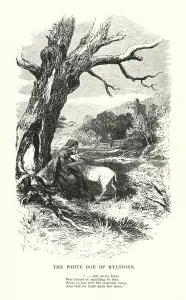 William Wordsworth: The White Doe of Rylstone (engraving) William Wordsworth: The White Doe of Rylstone (engraving)