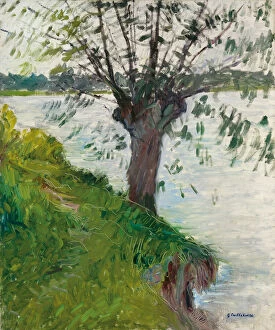 By The Side Of A River Gallery: Willow by the River; Saule au bord de la riviere, c. 1891 (oil on canvas)