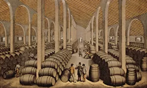 Kegs Gallery: Wine Cellar at Jerez de la Frontera (colour litho)