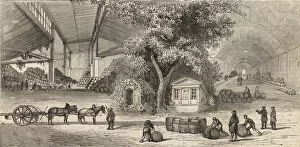 Wine Cellar Gallery: The Wines Warehouse in Paris in 1861 - Caves