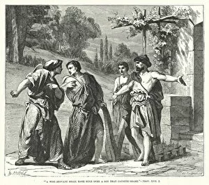A wise servant shall have rule over a son that causeth shame, Proverbs XVII, 2 (engraving)
