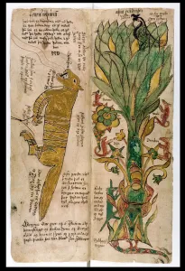 The Wolf Fenrir and the World-Tree Yggdrasil, 1680 The Wolf Fenrir and the World-Tree Yggdrasil, 1680
