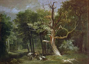 Wolf Hunt in the Forest of Saint-Germain, 1748 (oil on canvas) Wolf Hunt in the Forest of Saint-Germain, 1748 (oil on canvas)