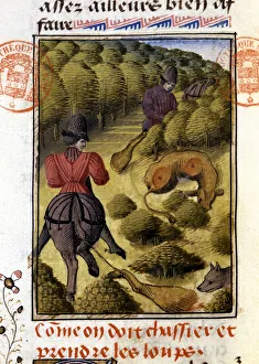 Wolf Hunt- in ' Hunting Book of Gaston Phoebus, Count of Foix Wolf Hunt- in ' Hunting Book of Gaston Phoebus, Count of Foix