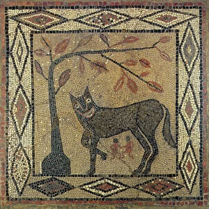 Mosaic Collection: Wolf Mosaic, Aldborough Roman Town, Yorkshire, 300 AD (mosaic)