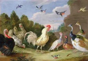 Wooded Landscape with a Cock, Turkey, Hens and other Birds, 17th century (oil on canvas) Wooded Landscape with a Cock, Turkey, Hens and other Birds, 17th century (oil on canvas)
