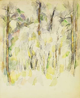 Woodland Scene, c.1900-1904 (watercolour over pencil on paper)