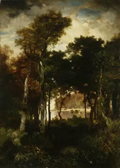Romantic Era Gallery: Woods by a River, 1886 (oil on canvas)