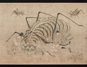 Yorimitsu tue Tsuchigumo (demon araignee) (Yoriitsu killing Tsuchigumo) Detail du rouleau Tsuchigumo no Soshi Emaki