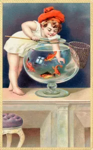 A young child with a fishing net reaches into a goldfish bowl (colour litho) A young child with a fishing net reaches into a goldfish bowl (colour litho)