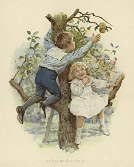 Two young children sitting in the branches of a tree (colour litho)