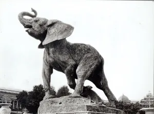Young Elephant Caught in a Trap (1878) by Emmanuel Fremiet (1824-1910) in front of Young Elephant Caught in a Trap (1878) by Emmanuel Fremiet (1824-1910) in front of